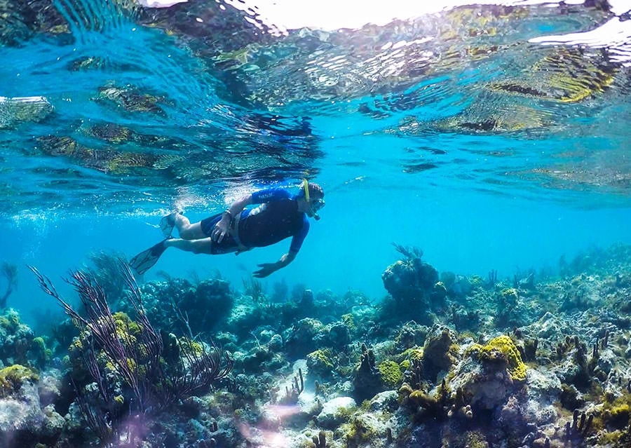 Snorkelling